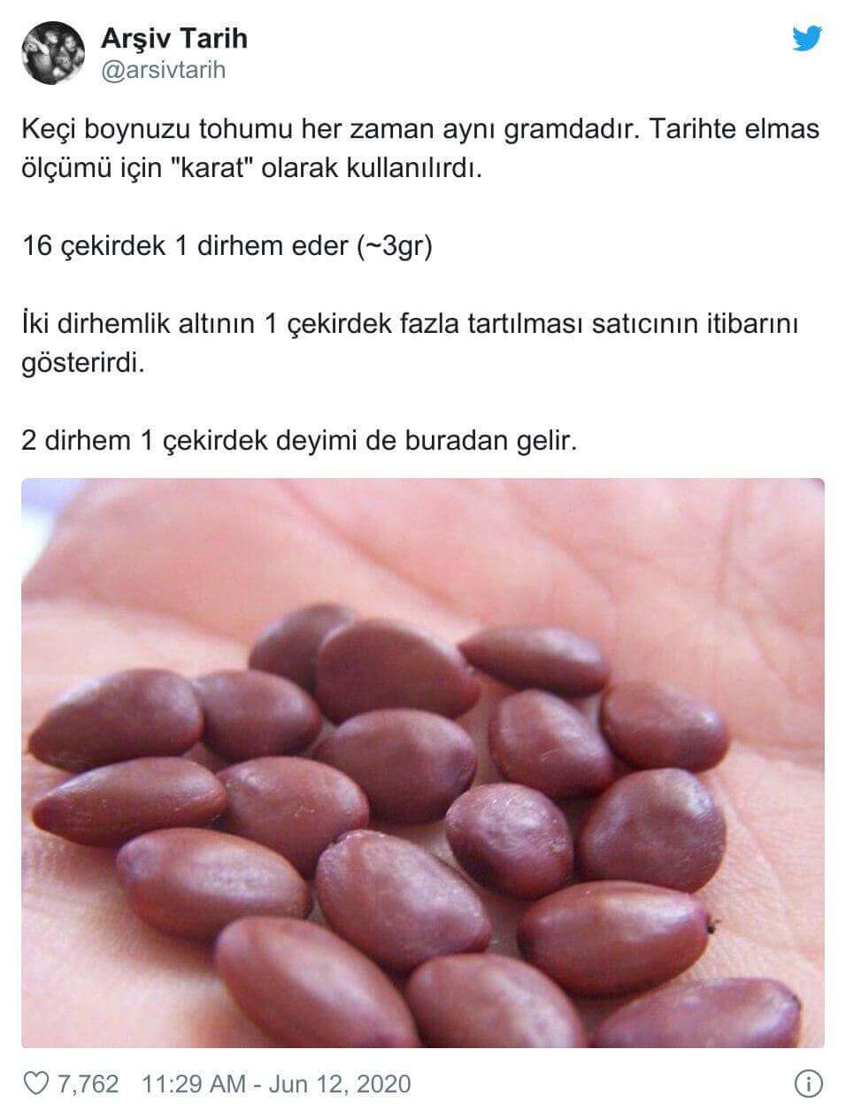 arsivtarih-keciboynuzu-cekirdegi-karat