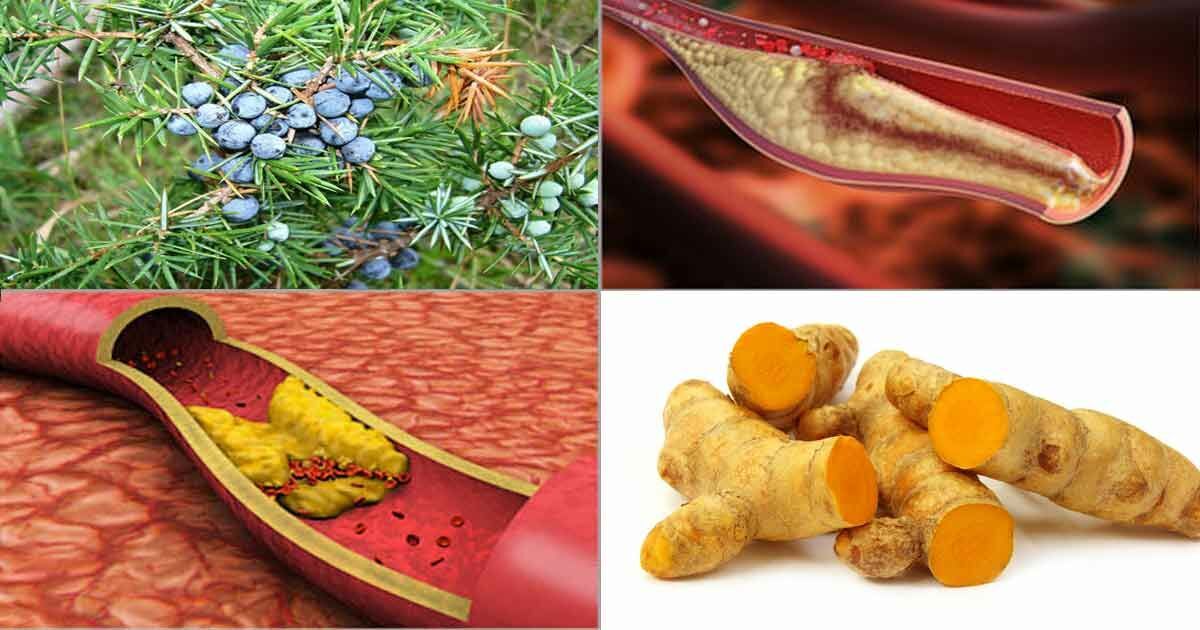 Damarlardaki Kolesterol Sorununa Doğal Çözümler