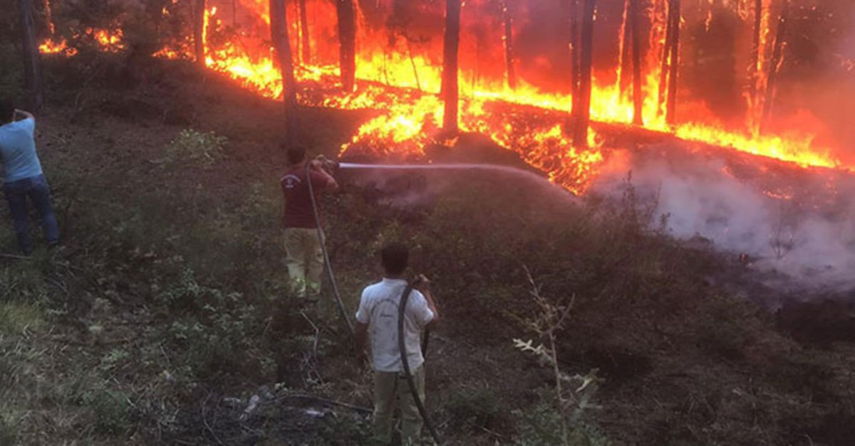 Denizli'de Orman Yangını Acil Müdahale Devam Ediyor