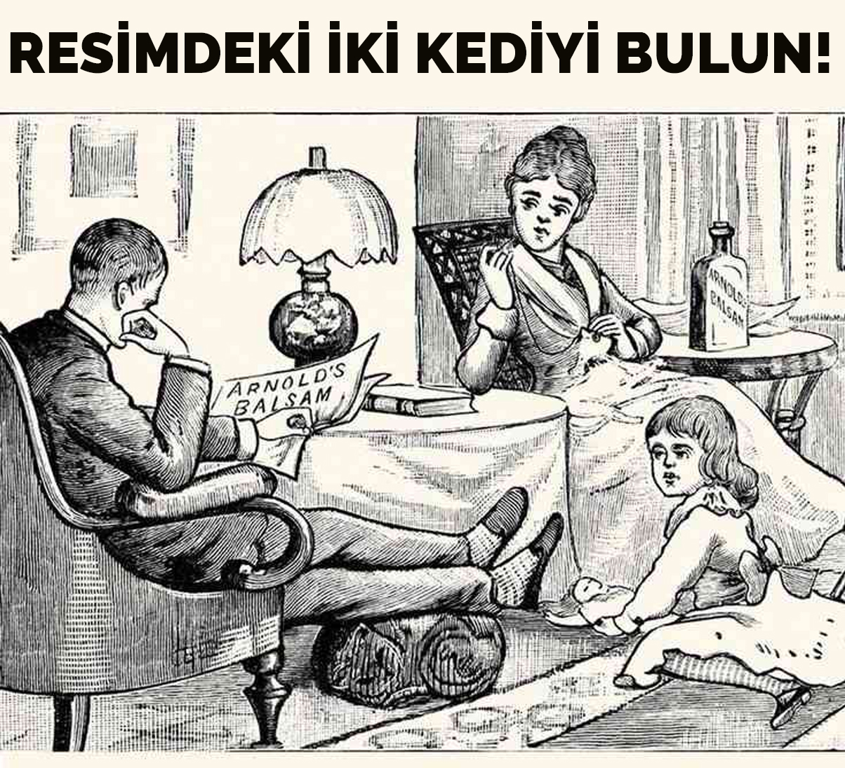 iki-kedi-bilmece-resim