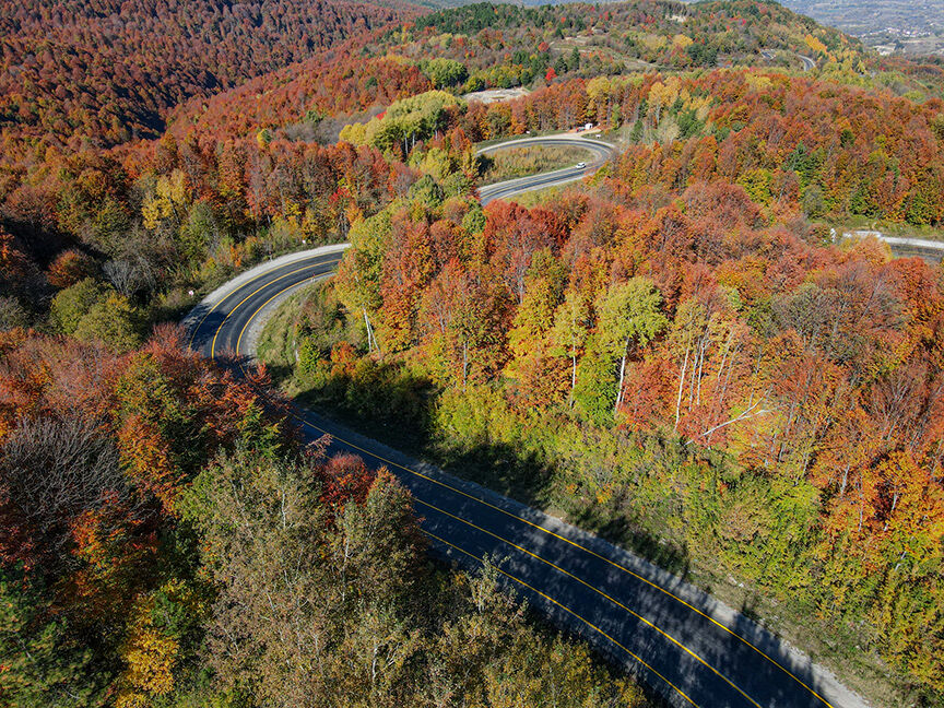 2022 Ekim A A 29308947