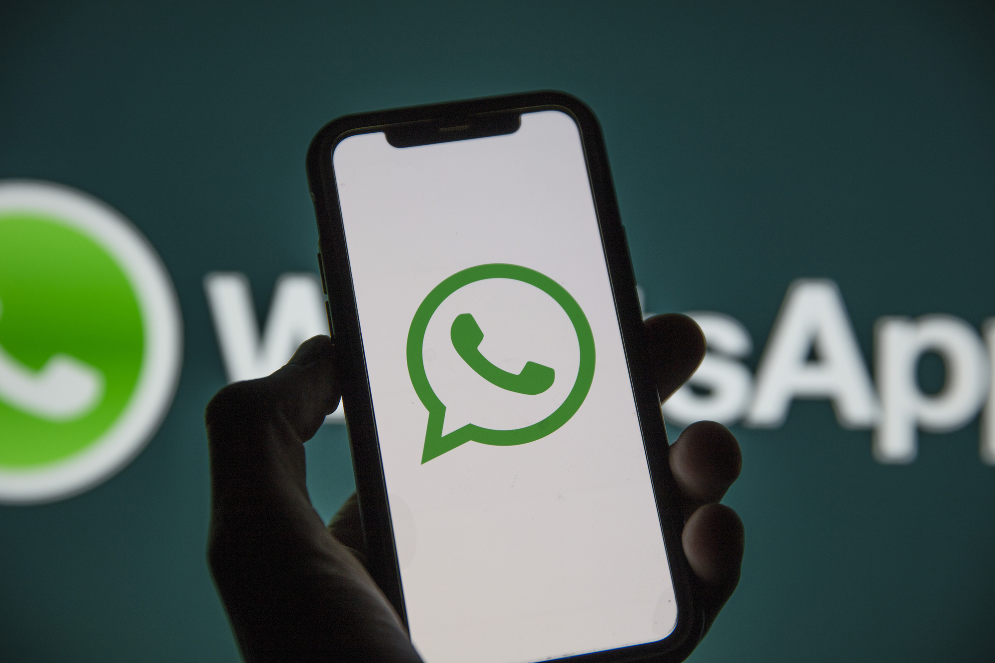 WHATSAPP Business logo.