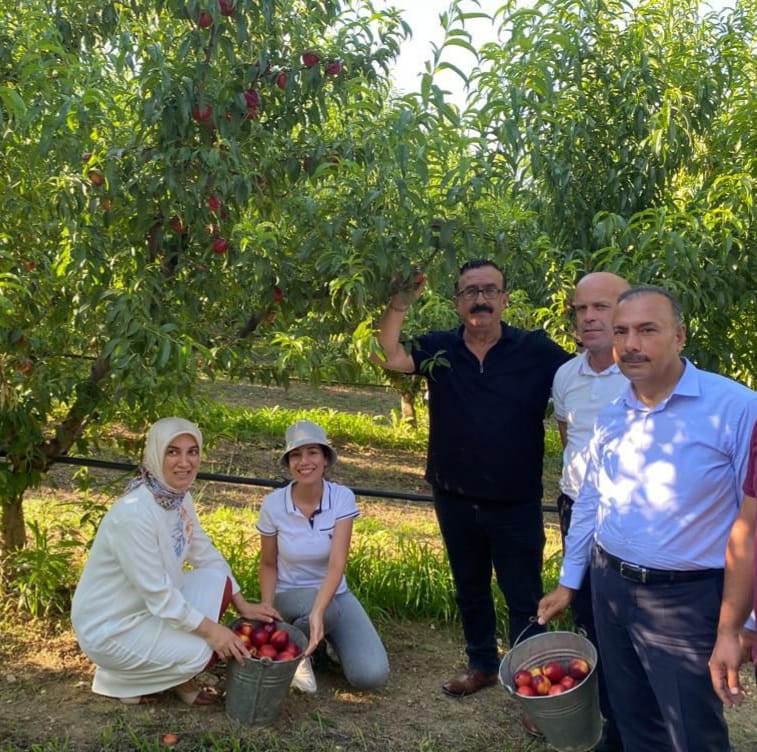 Sezai Celik Tarim Ciftci Koylu (12)