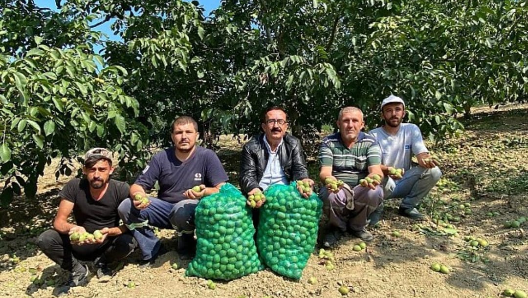 Sezai Celik Tarim Ciftci Koylu (15)