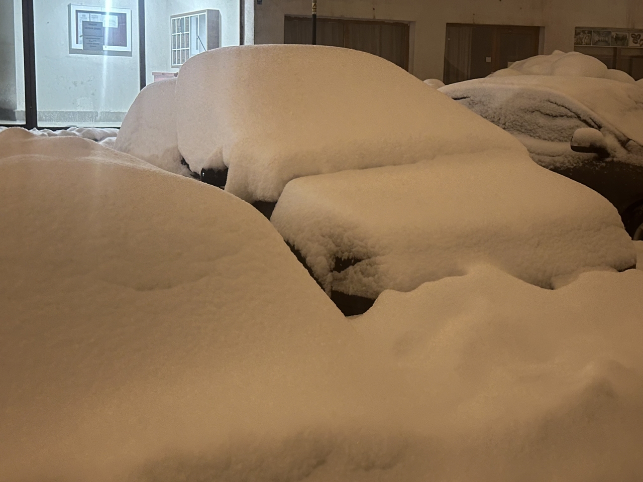 Yüksekova'da lapa lapa kar yağdı
