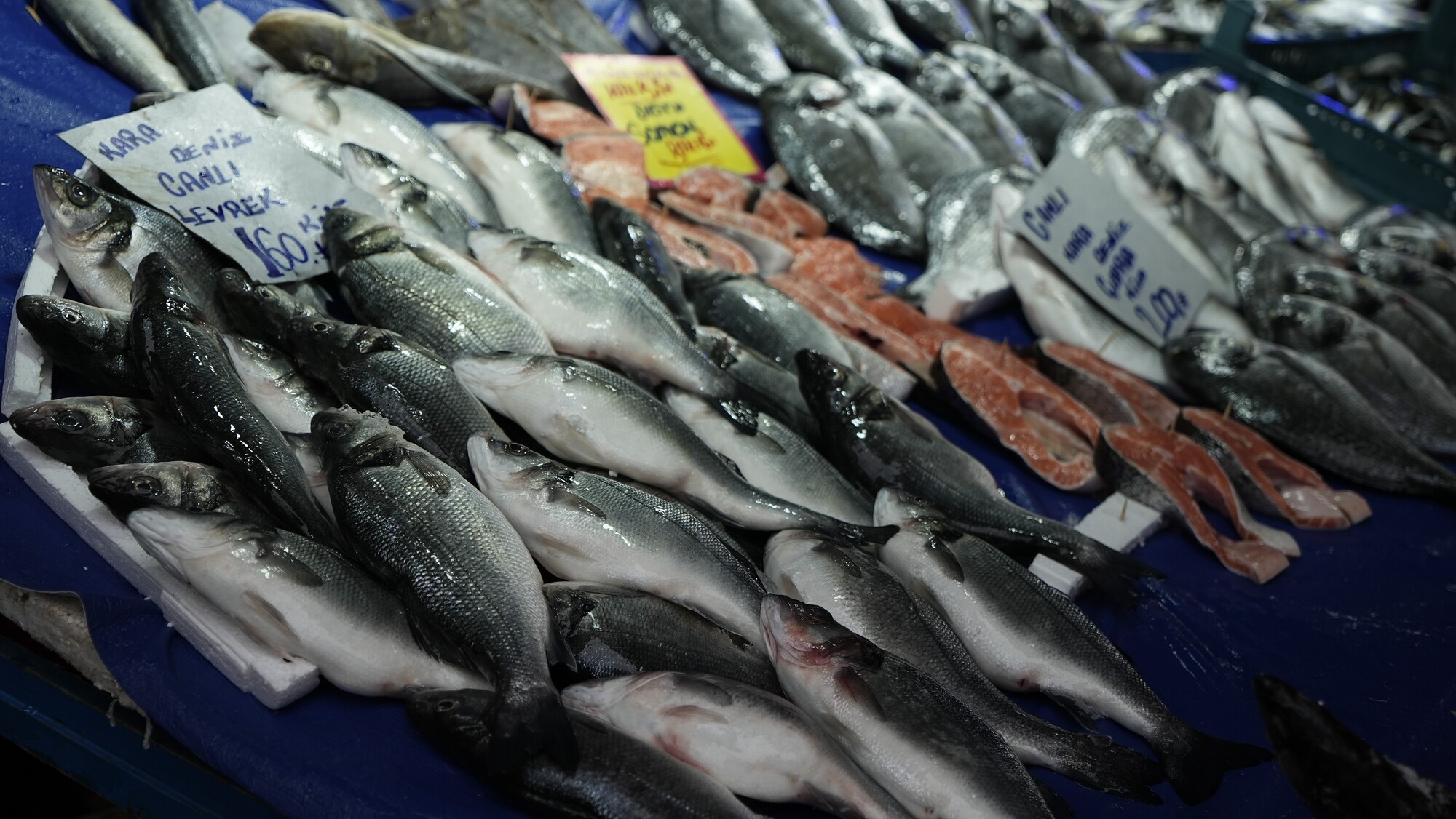 Genç Gazete Hava Koşulları Balık Fiyatlarını Etkiliyor, İşte Güncel Balık Fiyatları! (4)