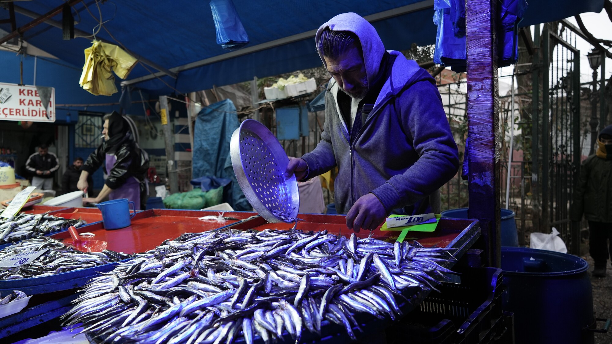 Genç Gazete Hava Koşulları Balık Fiyatlarını Etkiliyor, İşte Güncel Balık Fiyatları! (5)