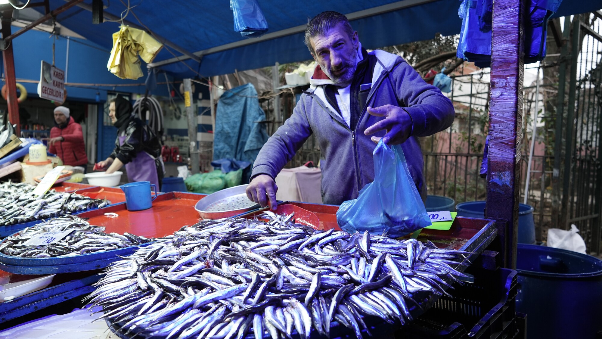 Genç Gazete Hava Koşulları Balık Fiyatlarını Etkiliyor, İşte Güncel Balık Fiyatları! (6)