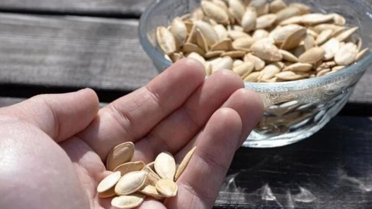 1 Avuç Kabak Çiğneyin, Bakın Ne Oluyor 01