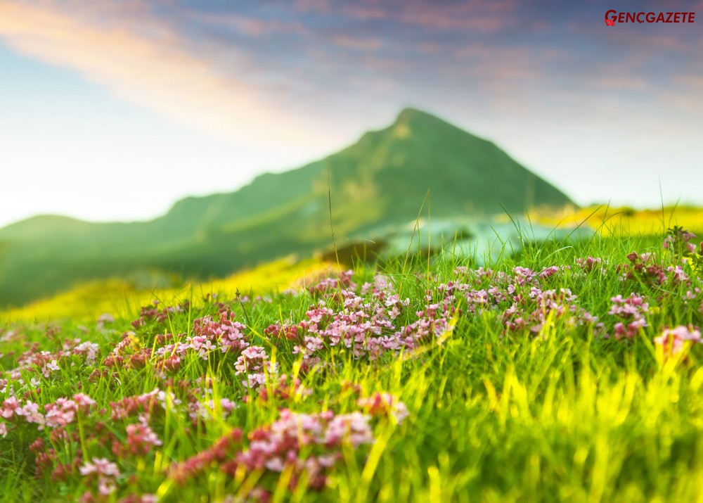 2024 Nevruz Bayramı Ne Zaman, Nevruz'da neler yapılır? Genç Gazete