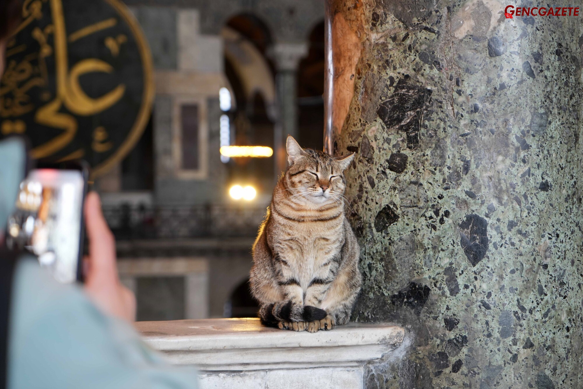Genç Gazete Ayasofya'nın Yeni Gözde Kedisi Gli'nin Mirasını Devraldı (1)