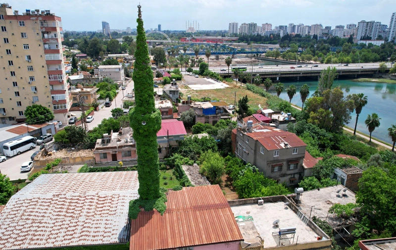 Genç Ajans 'Yeşil Cami' Sarmaşıklarına Kavuştu1