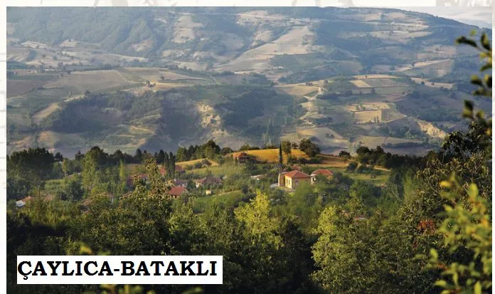 Genc Gazete Inegol Caylica Pelitli Batakli Çaylıca Köyü (16)