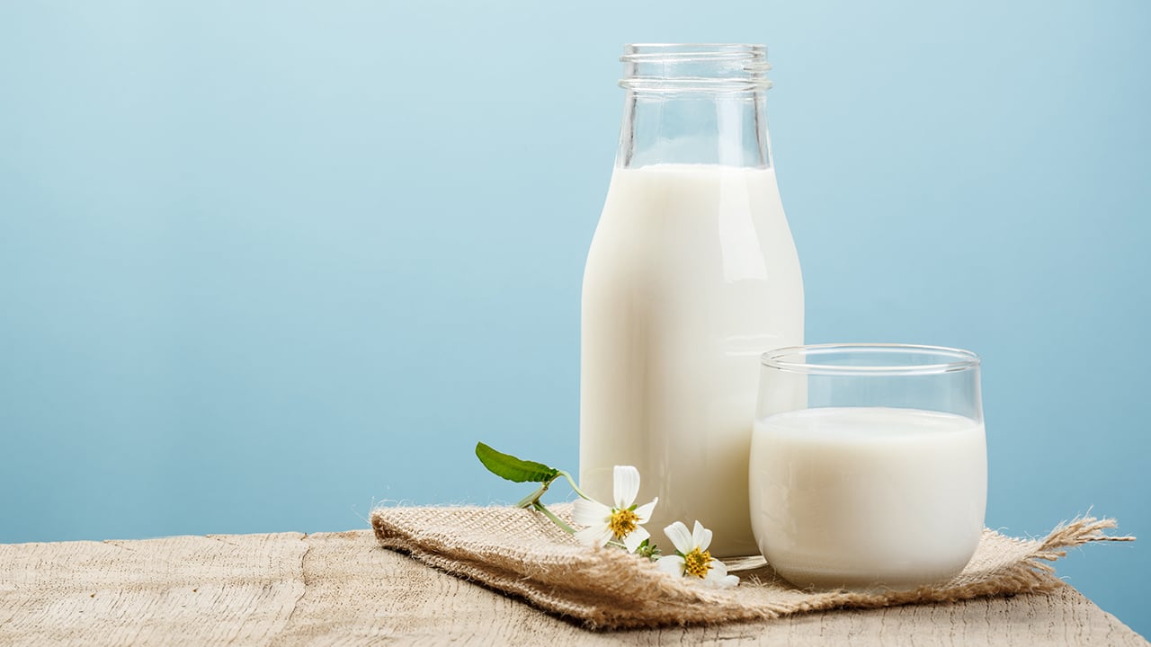 Süt Tüketiminde Çareler Tükenmez Laktozsuz Süt