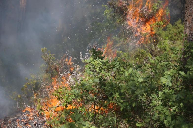 Bursa'daki Orman Yangını Kontrol Altına Alındı (2)