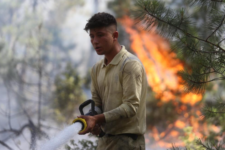 Bursa'daki Orman Yangını Kontrol Altına Alındı (3)
