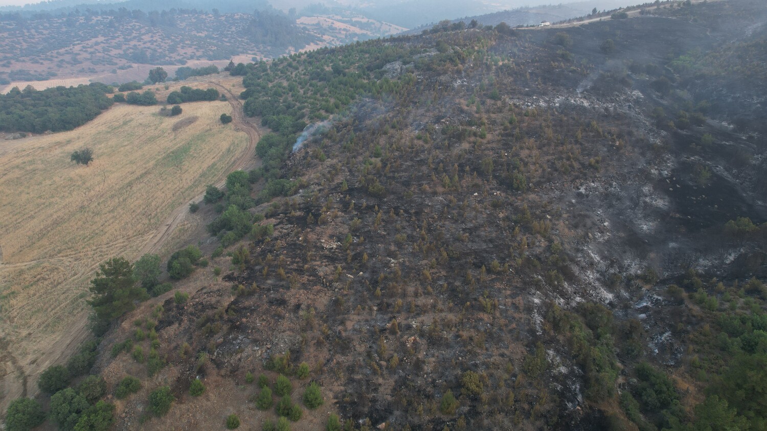 Genc Gazete Bursa Buyukorhan Yangin Orman (4)