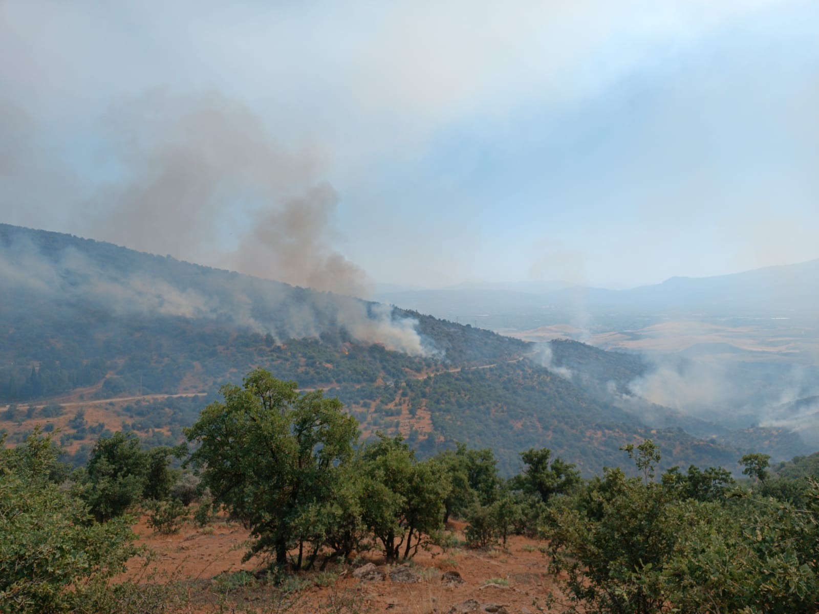 Manisa’daki Yangında Ekip Sayısı 71’E Çıktı Uşak Izmir Tren Seferleri Durduruldu-1
