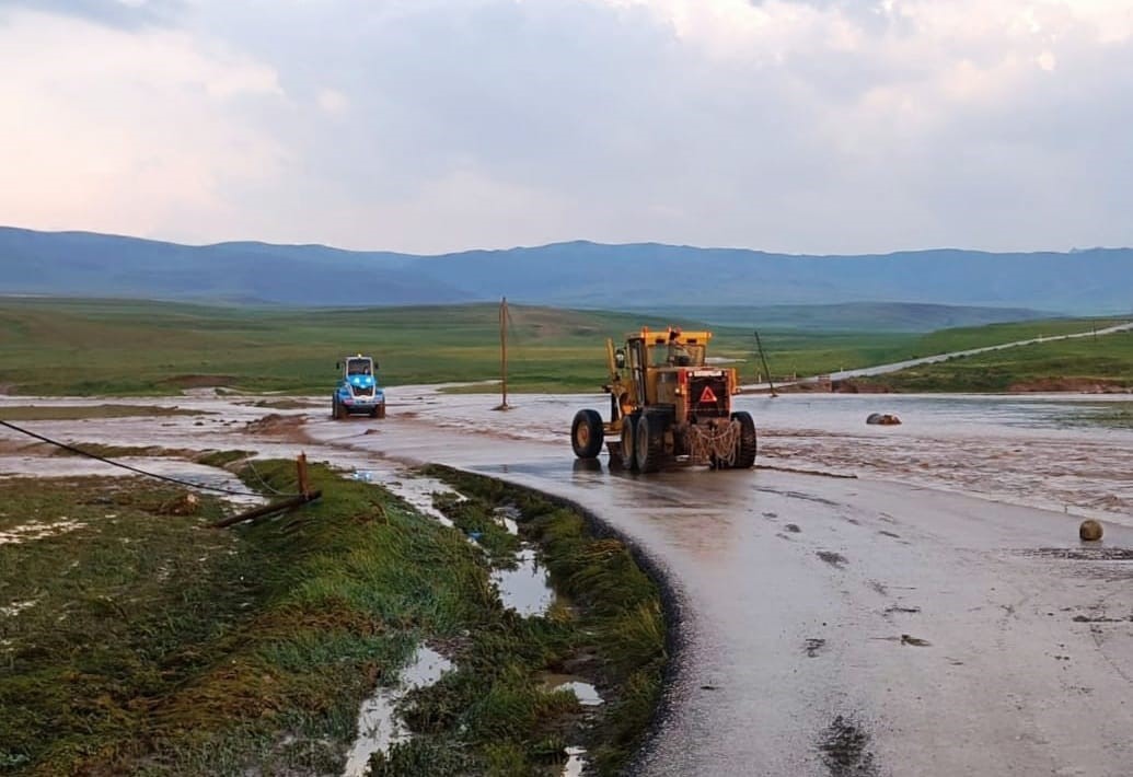 Van'ı Sel Bastı 100'E Yakın Hayvan Telef Oldu, Tarım Arazileri Sular Altında! (4)