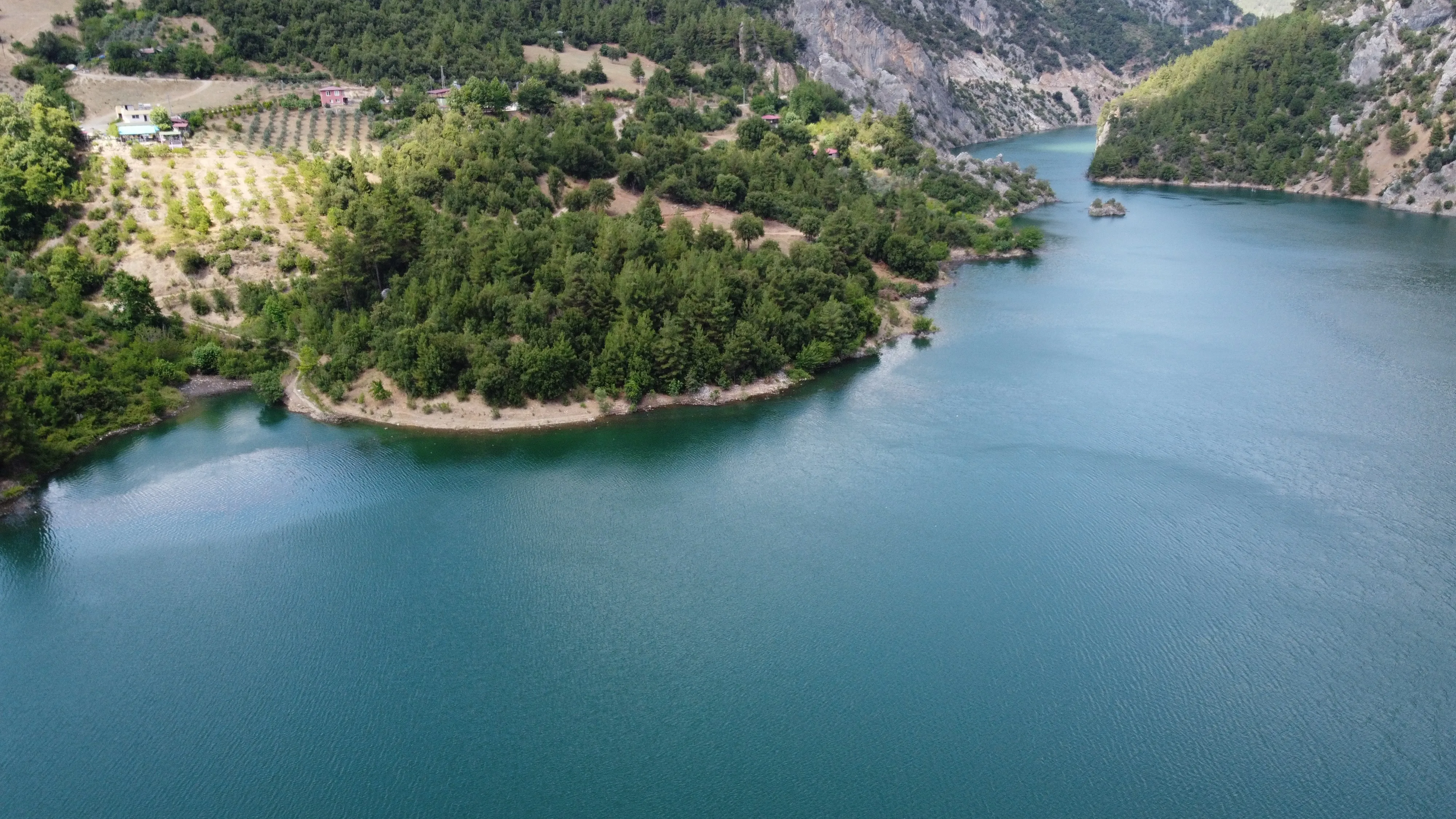 Adana'da Karadeniz'i Andıran Manzara (3)