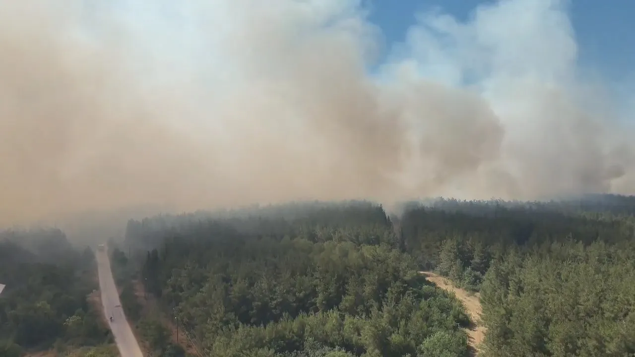 Bursa'da Ormanlara Giriş Ve Mesire Alanlarında Ateş Yakma Yasağı Başladı! (3)