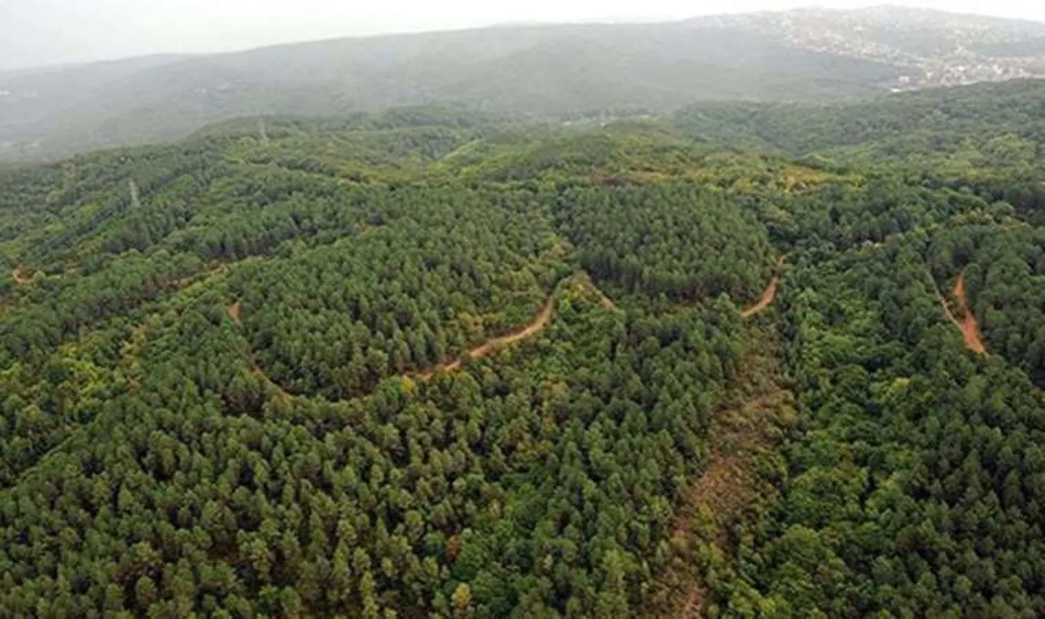 Bursa'da Ormanlara Giriş Ve Mesire Alanlarında Ateş Yakma Yasağı Başladı! (6)