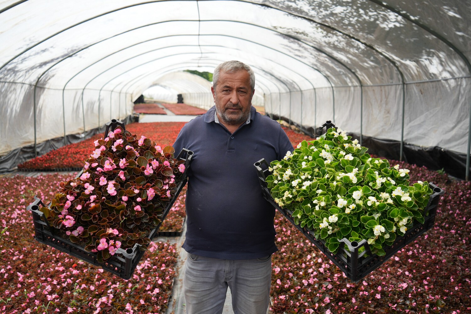 Genc Gazete Bursa Keles'te Dağın Zirvesinde Sera (6)