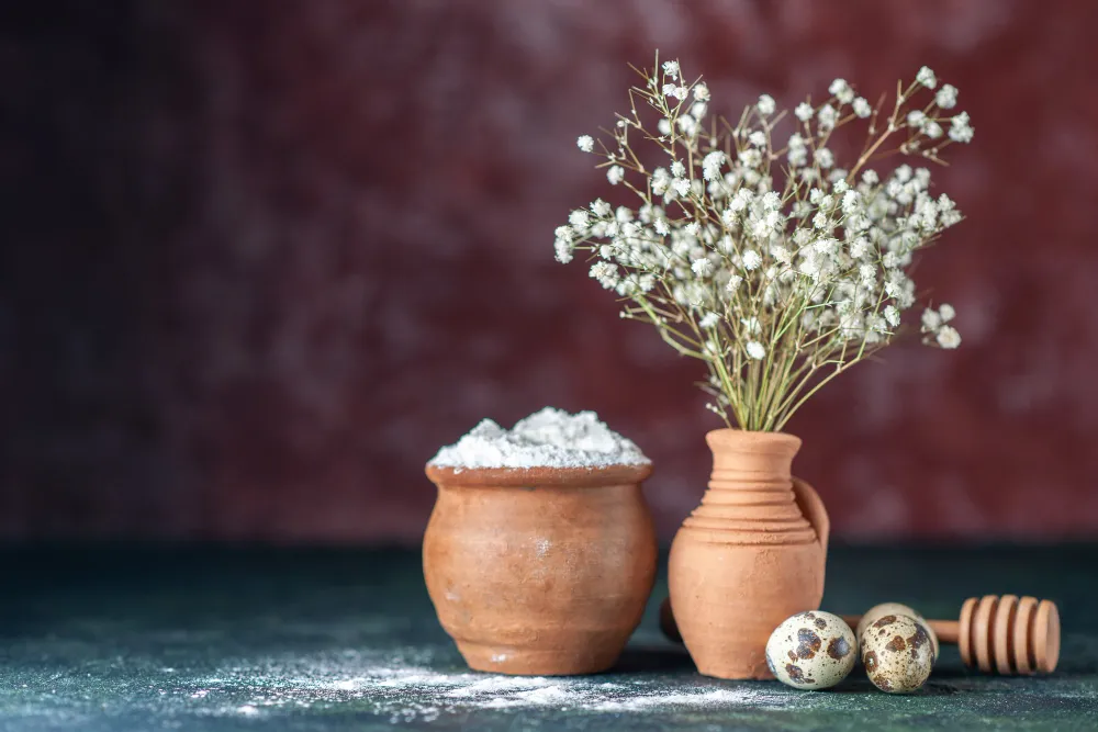 Genc Gazete Cicek Cicekler Flower Rutada Cicek Gormek (3)