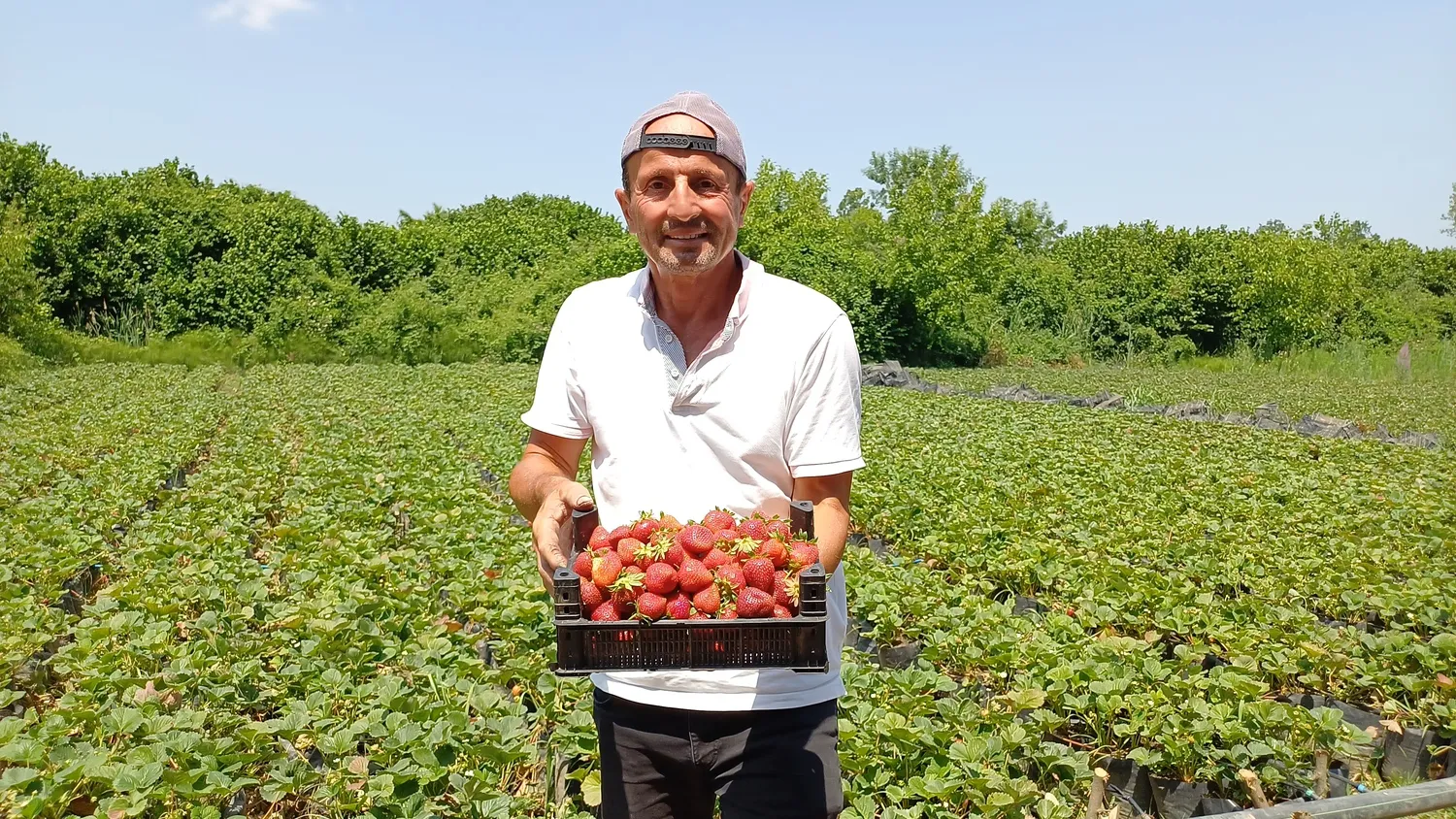 Genc Gazete Cilek Kendin Topla (4)