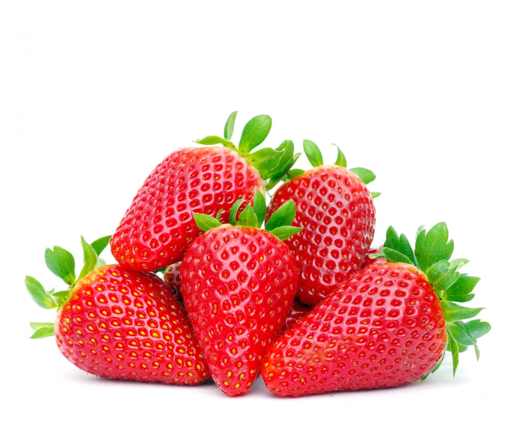 Genc Gazete Cilek Strawberry Ruyada Cilek (3)