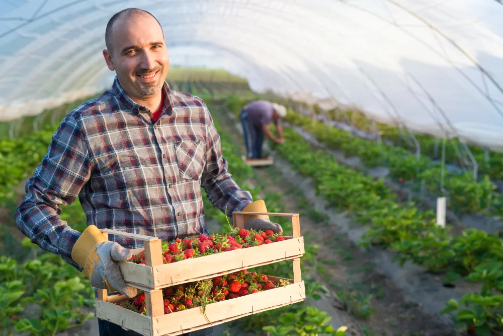 Genc Gazete Farmer Ciftci Ziraat Tarla Dini Ruya (10)