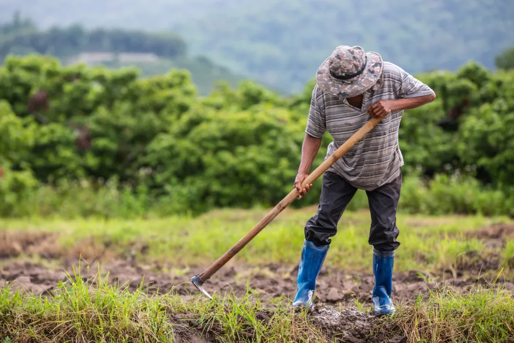 Genc Gazete Farmer Ciftci Ziraat Tarla Dini Ruya (7)