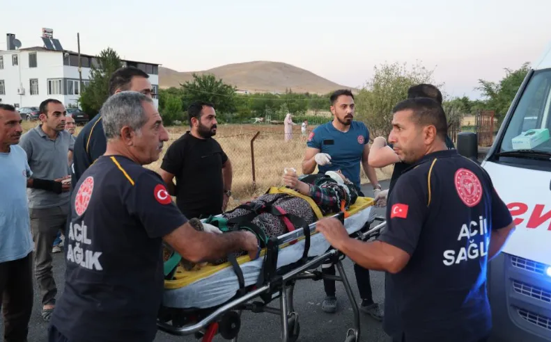 Elazığ’da Trafik Kazası 6 Yaralı (2)