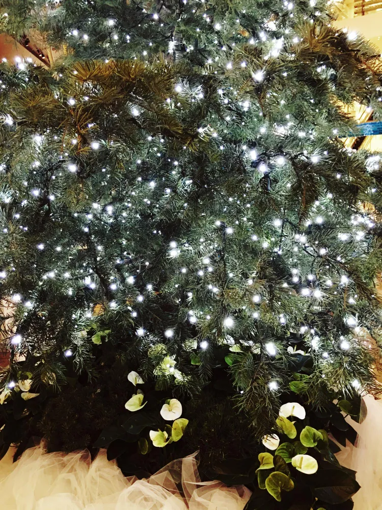 Genc Gazete Dünyada Kaç Tane Yılbaşı Var Christmas Tree (2)