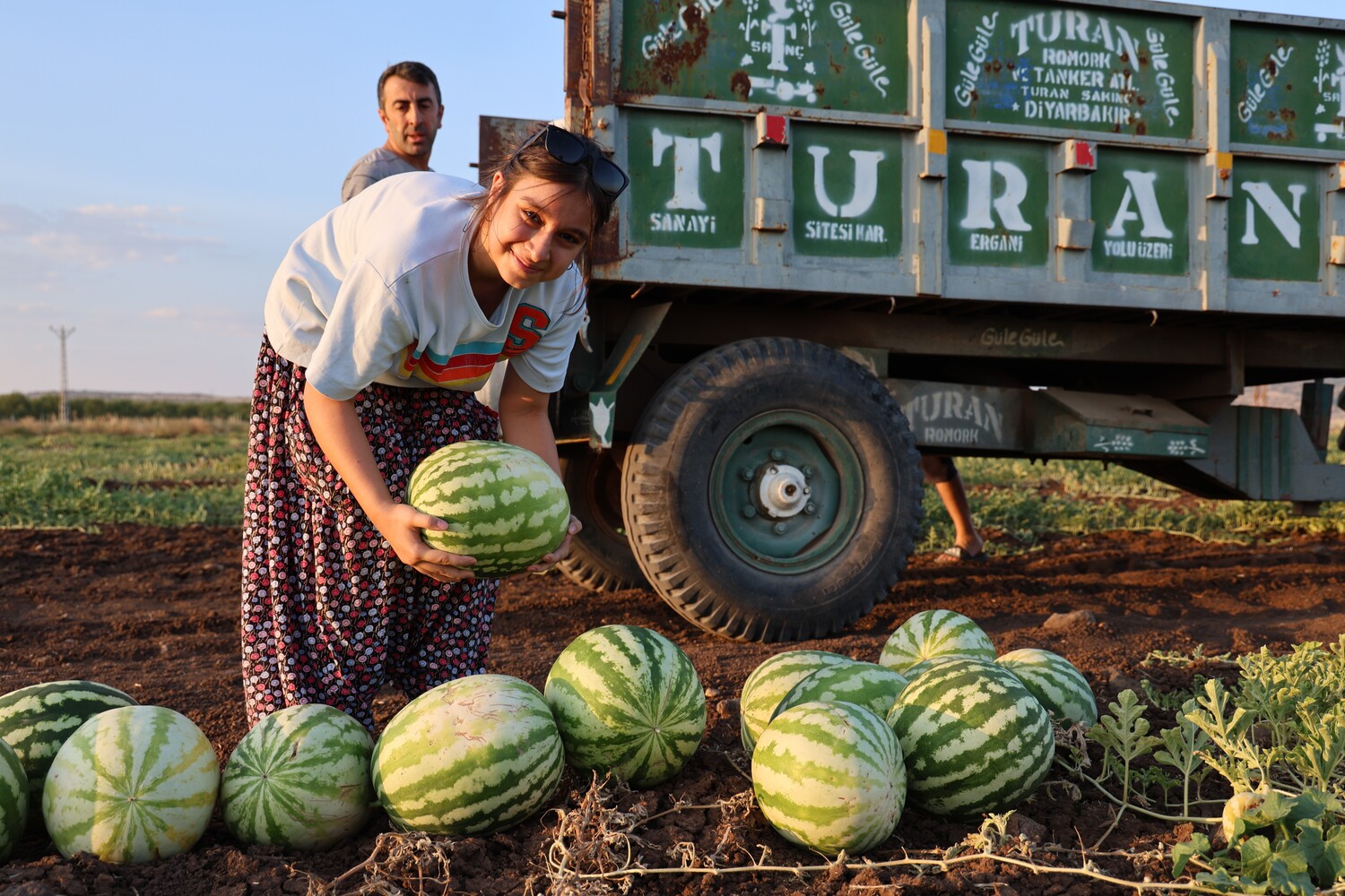 Genc Gazete İşte Karpuzun Tarla Fiyatı! Diyarbakır Karpuzu (4)