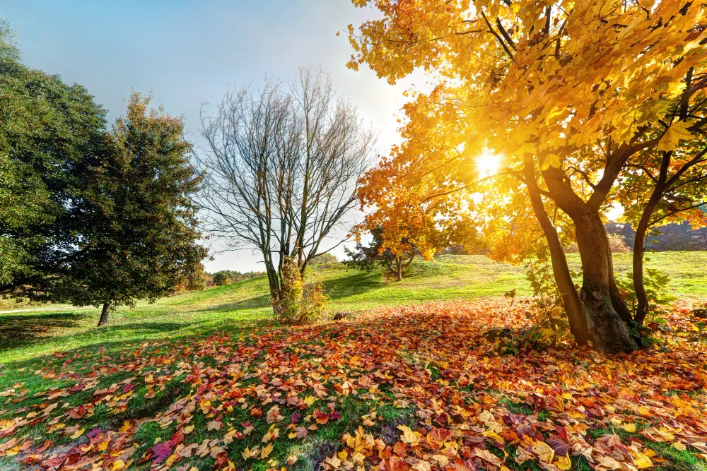 Genc Gazete Kullandığımız Gün, Ay Ve Mevsim Isimlerinin Kökenleri Ve Anlamları Mevsimler Seasons (15)