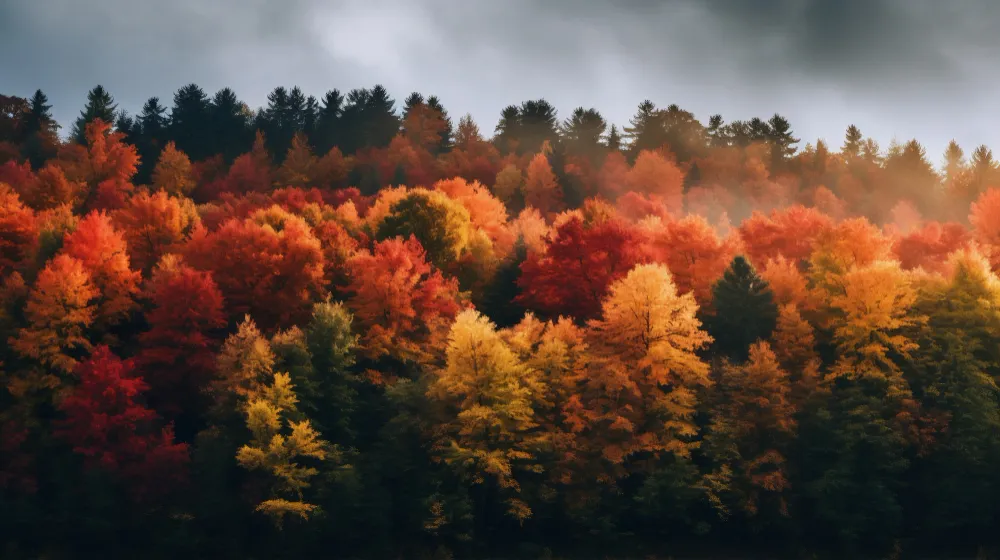 Genc Gazete Kullandığımız Gün, Ay Ve Mevsim Isimlerinin Kökenleri Ve Anlamları Mevsimler Seasons (8)