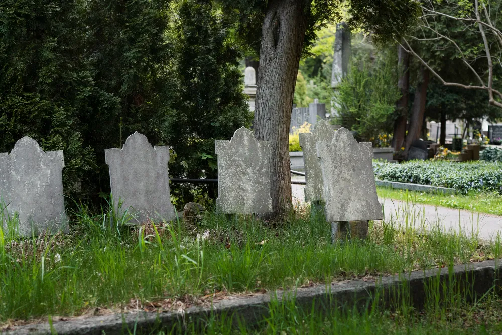 Genc Gazete Mezar Mezarlık Kabir Grave And Cemetery Mezara Cicek Koymak (8)-1