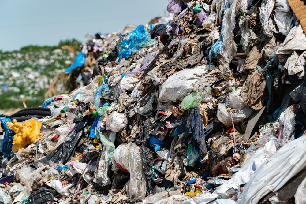 Genc Gazete Rüyada Çöplük Görmek Ne Demek Rüyada Çöp Ve Çöpçü Garbageman (2)