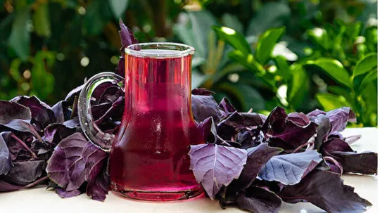 Sıcaklarla Baş Etmenin En Doğal Yolu Evde Reyhan Şerbeti Tarifi! (4)