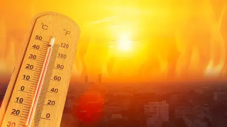 Yaz Aylarının Sessiz Tehlikesi Sıcak Hava Dalgası Ve Korunma Yolları (4)