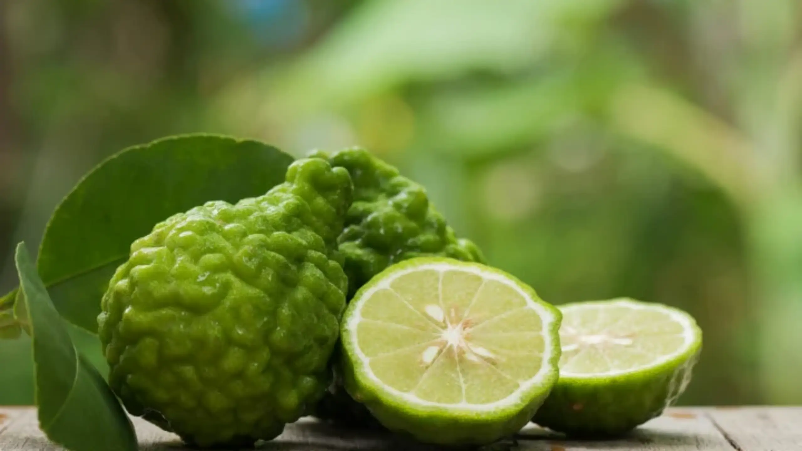 Bergamot Nedir Faydalari 1 Gencgazete