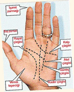 Genc Gazete Avuç Içindeki Çizgi Ve Işaretlerin Anlamı El Fali (11)