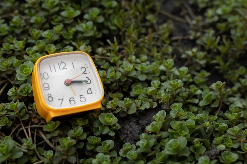 Genc Gazete Bedenimizin De Bir Saati Olduğunu Biliyor Muydunuz Biyolojik Saat Nedir Biological Clock (9)