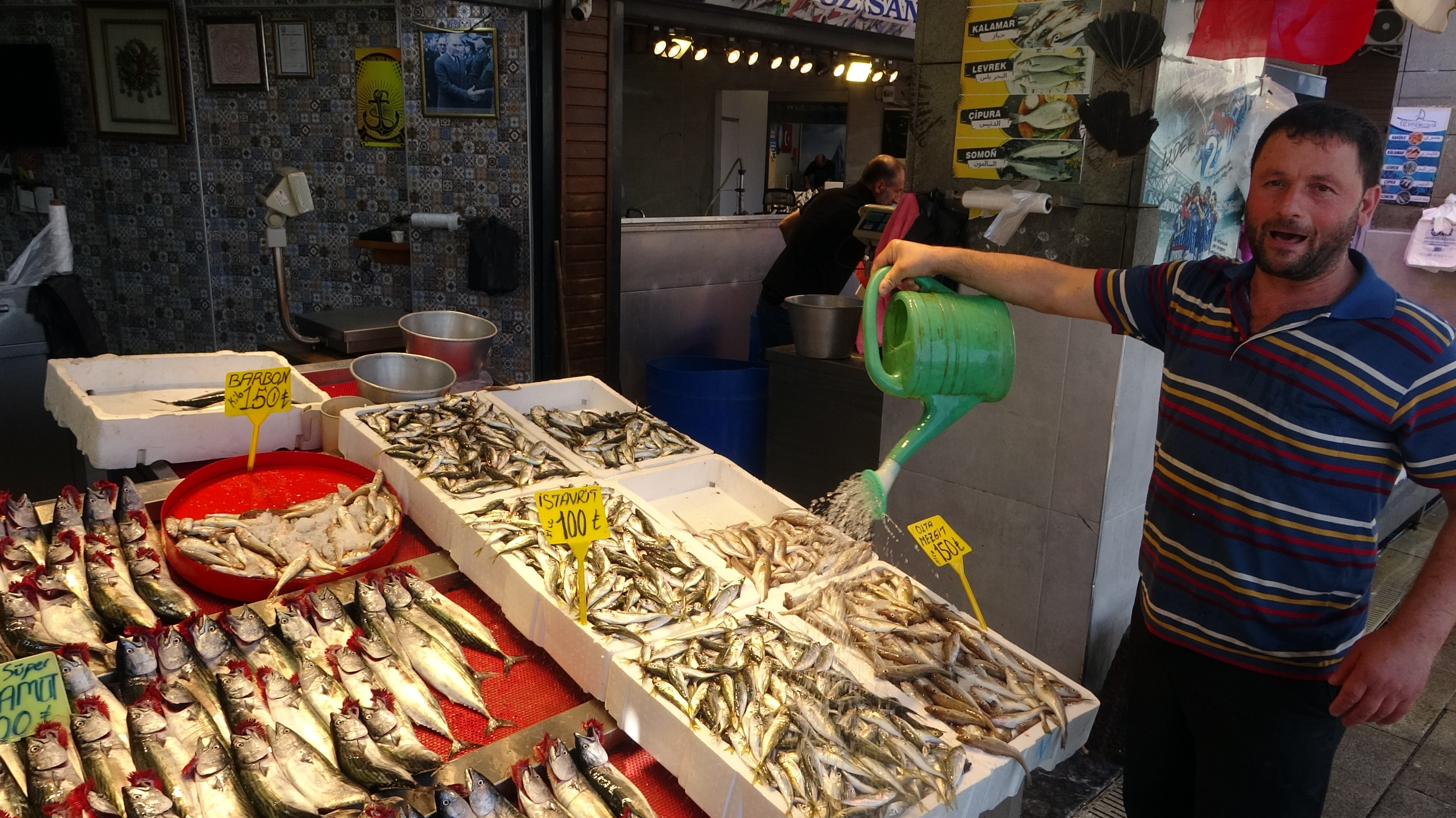 Genc Gazete Palamut Bolluğu Balık Tezgahında Fiyatlar (4)