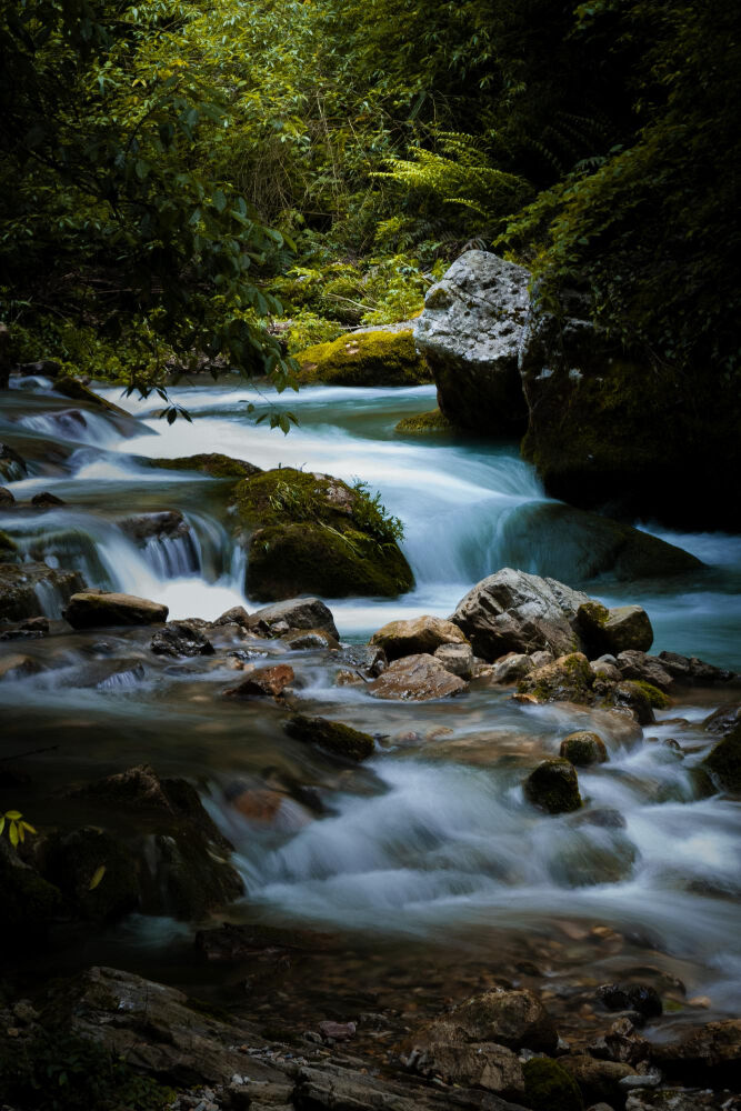 Genc Gazete Rüyada Dere Görmek Akarsu Irmak Stream (7)