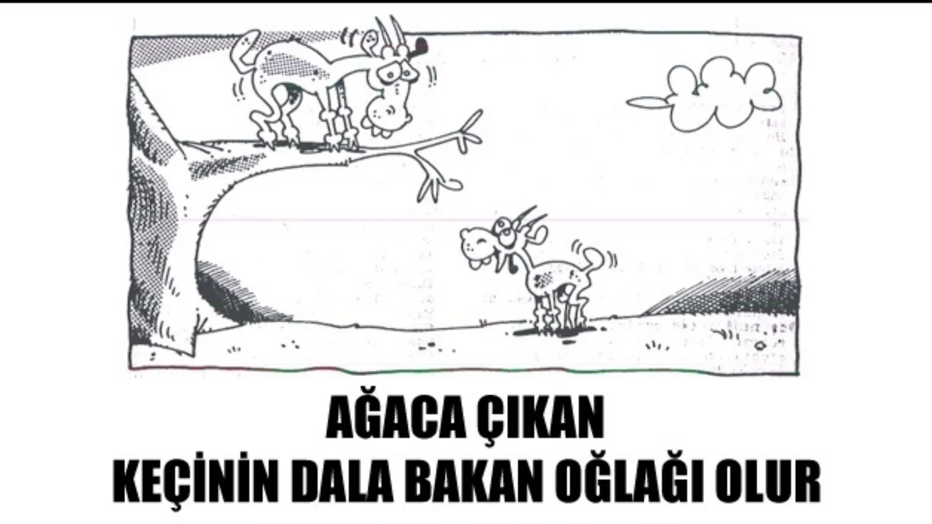 Ağaca Çıkan Keçinin Dala Bakan Oğlağı Olur (1) Gencgazete