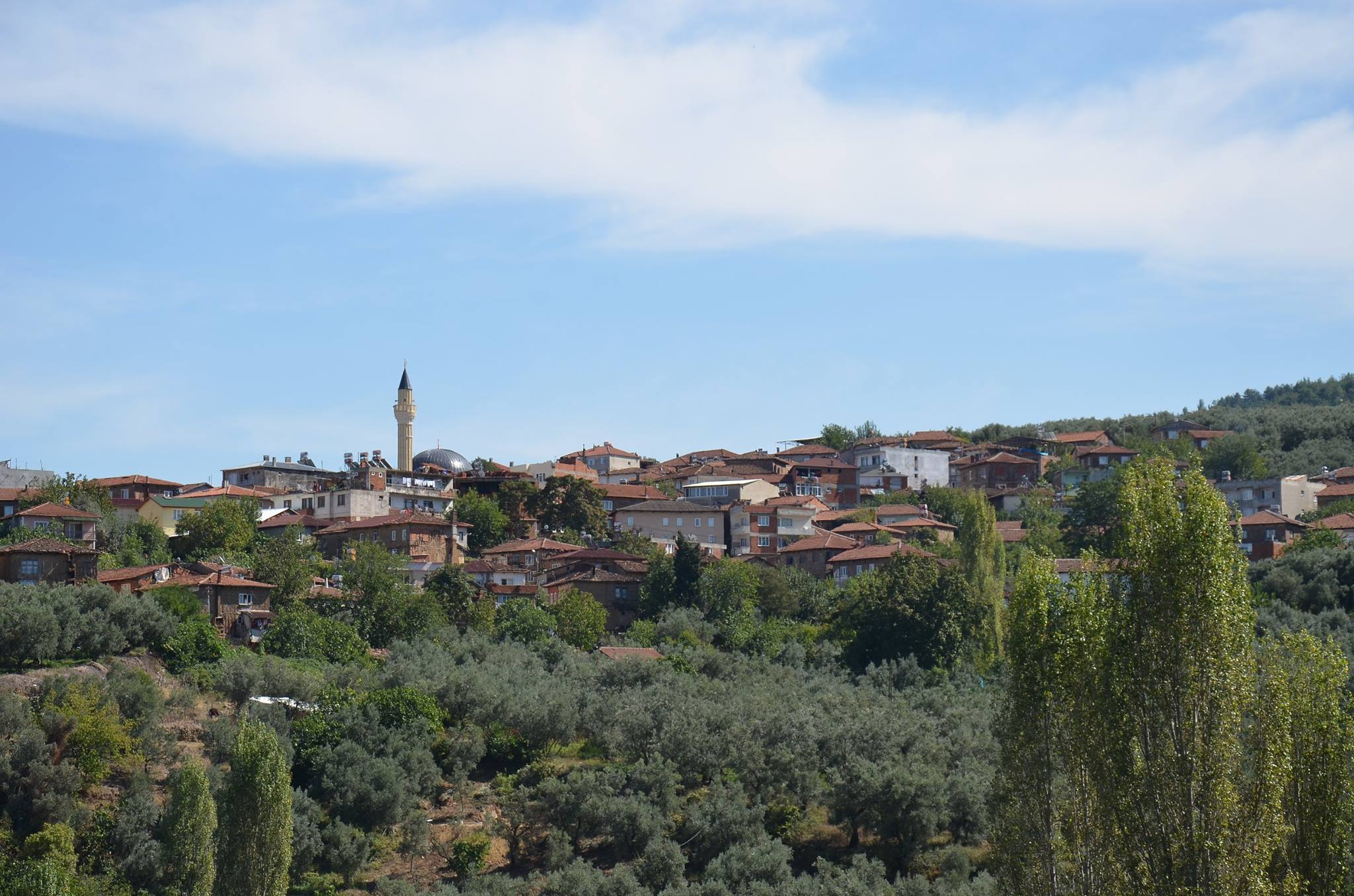 Genc Gazete Bursa Iznik Müskile Koyu (2)