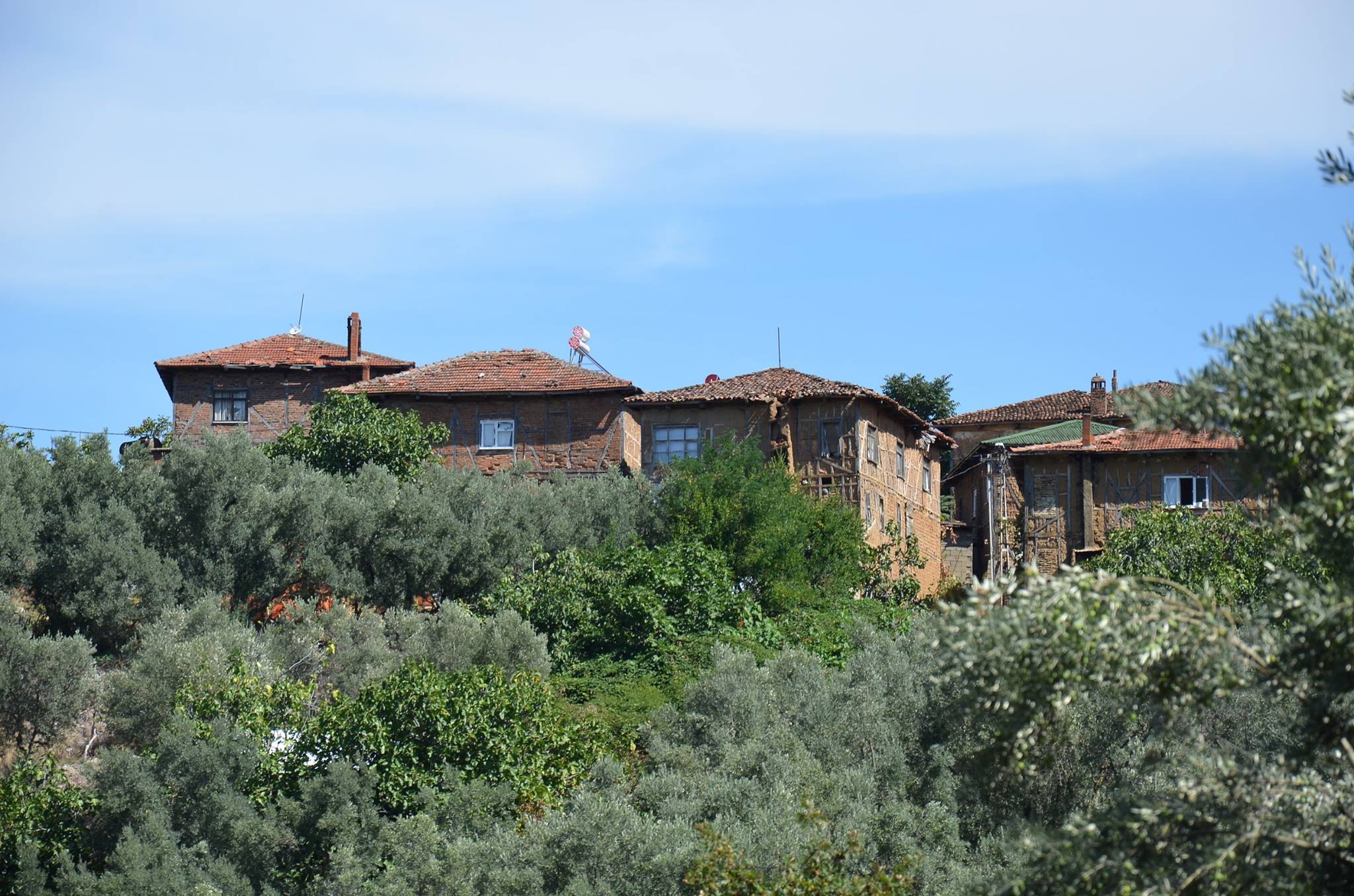 Genc Gazete Bursa Iznik Müskile Koyu (3)