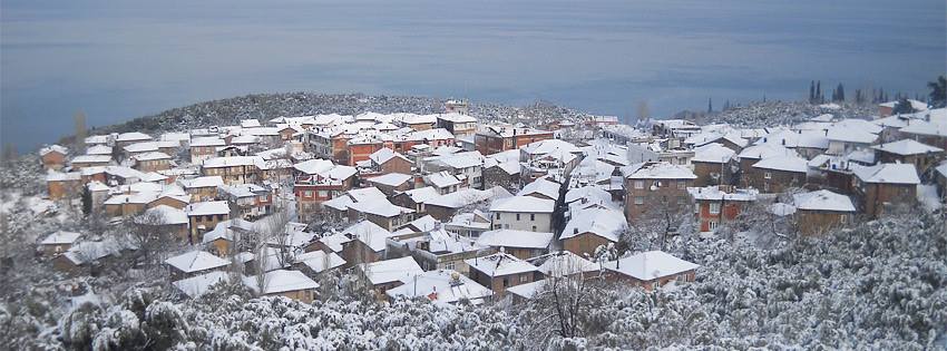 Genc Gazete Bursa Iznik Müskile Koyu (8)